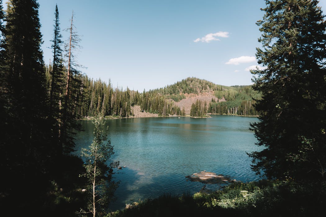 Emerald Lake Trail, Colorado