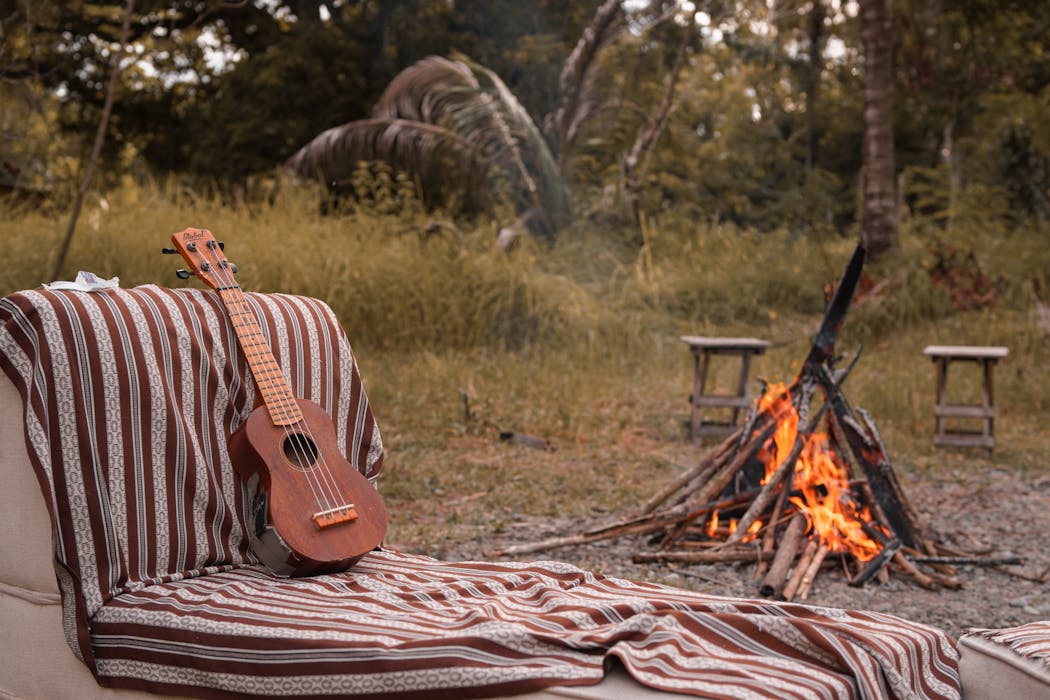 A Guitar and a Blanket