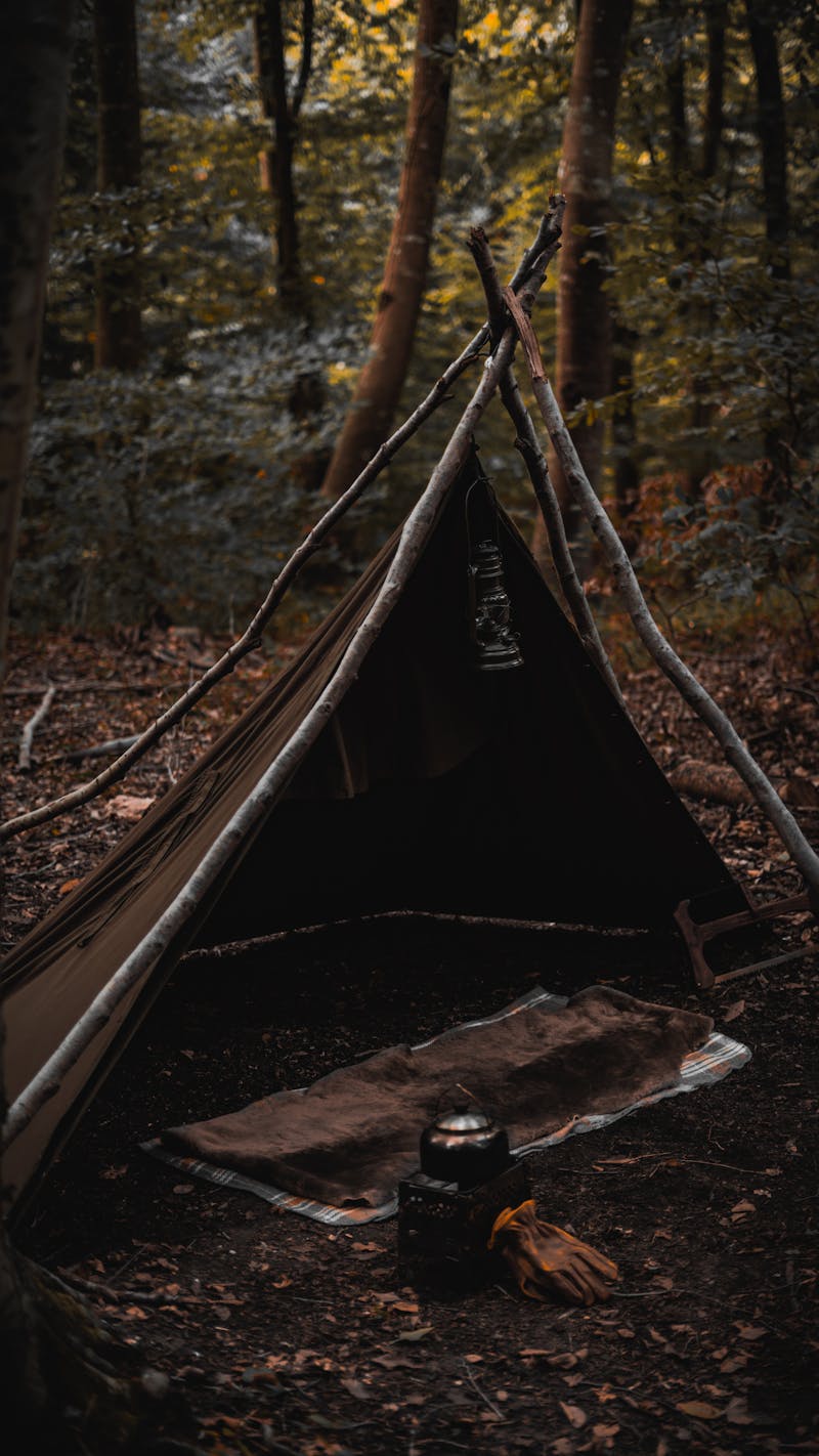taiki-ishikawa-w6EMxsk8CDA-unsplash Bushcraft Shelter