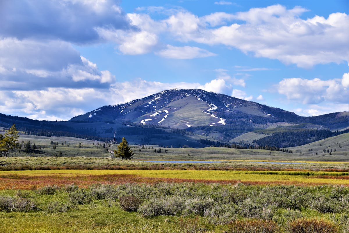 taiki-ishikawa-w6EMxsk8CDA-unsplash Grass Field Under Blue Sky in Montana