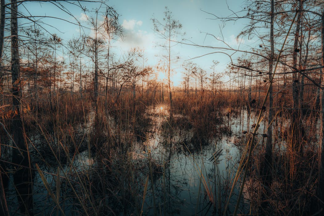 Everglades Backcountry, Florida