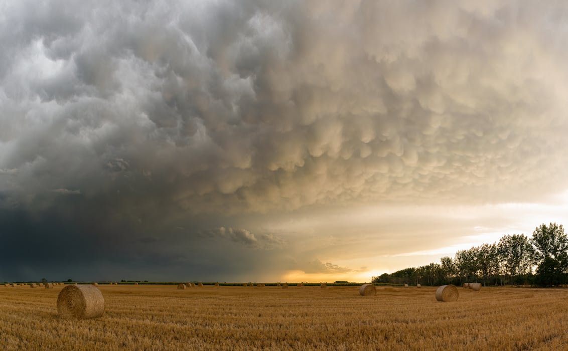 Mammatus Clouds