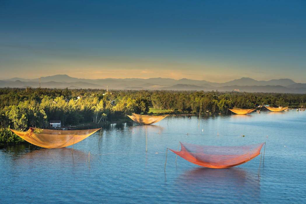 Landscape Photography of Fish Nets on Body of Water Near Green Trees