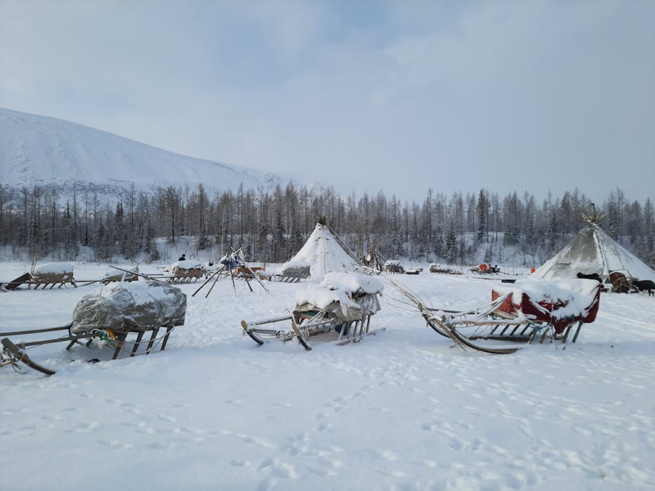 Arctic Survival Expeditions