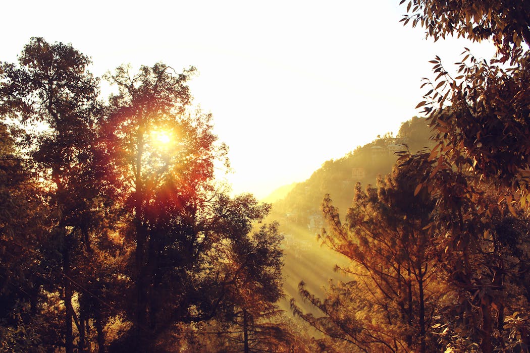 Hillsides with Sun Exposure