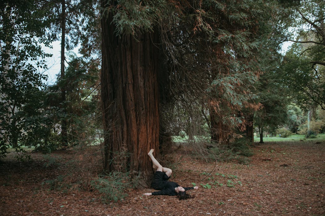 Woman in Black Dress Lying Under the Tree