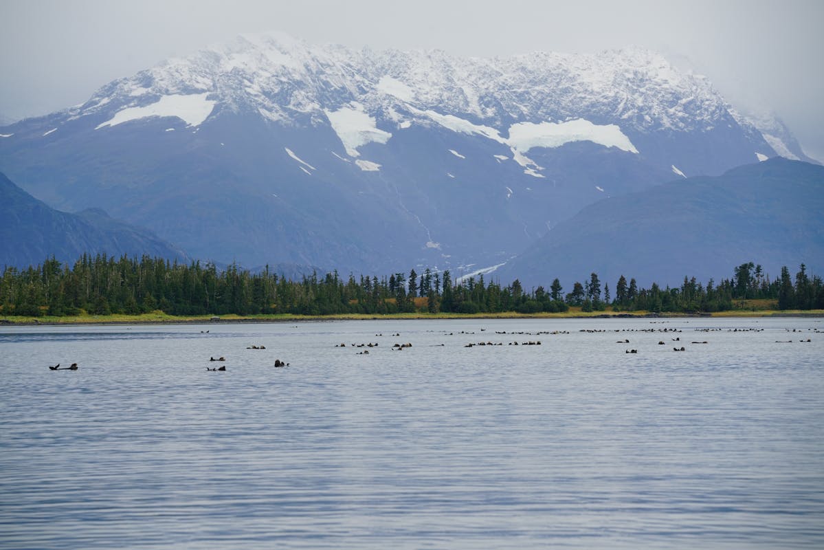 Mountains in Snow Towering over Lake