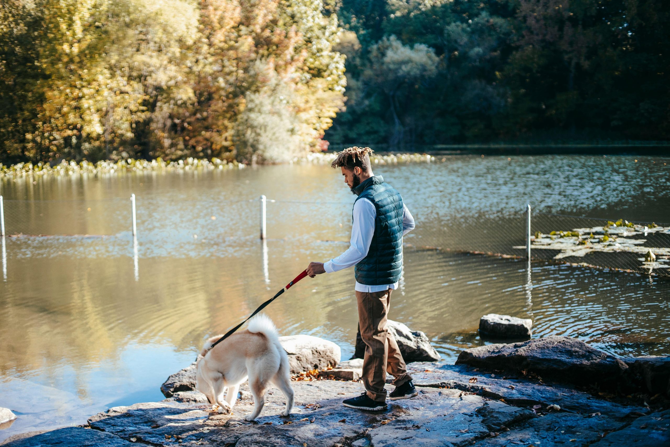 A Person Holding a Dog Near River