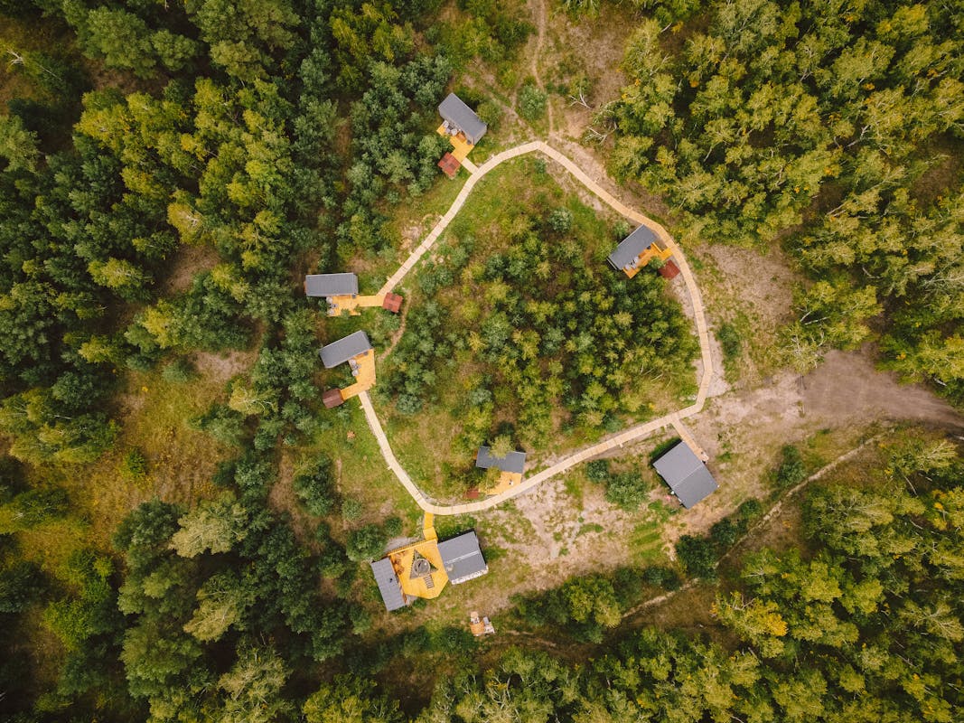 Aerial view of small settlement in forest