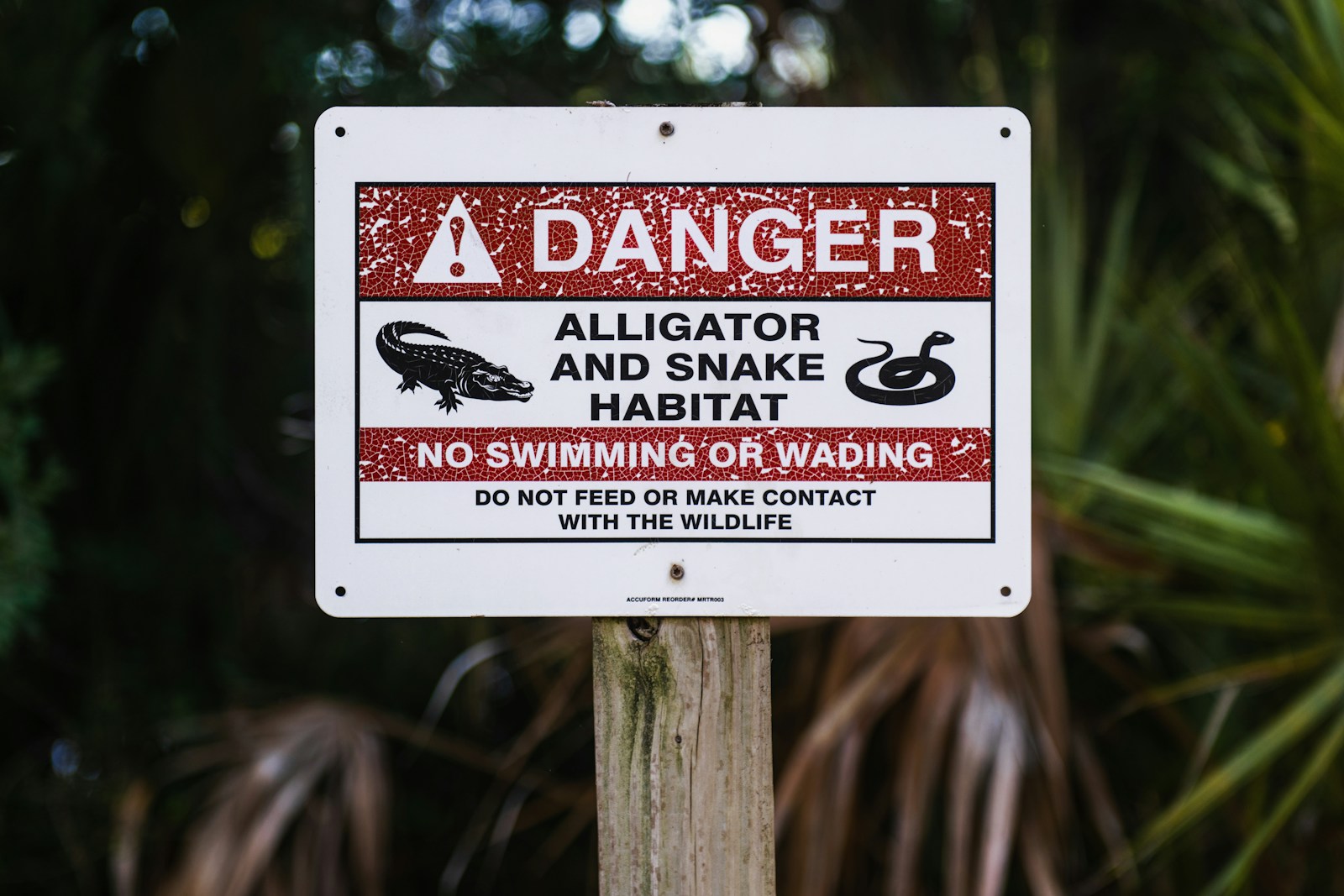 Ignoring Wildlife Safety Rules