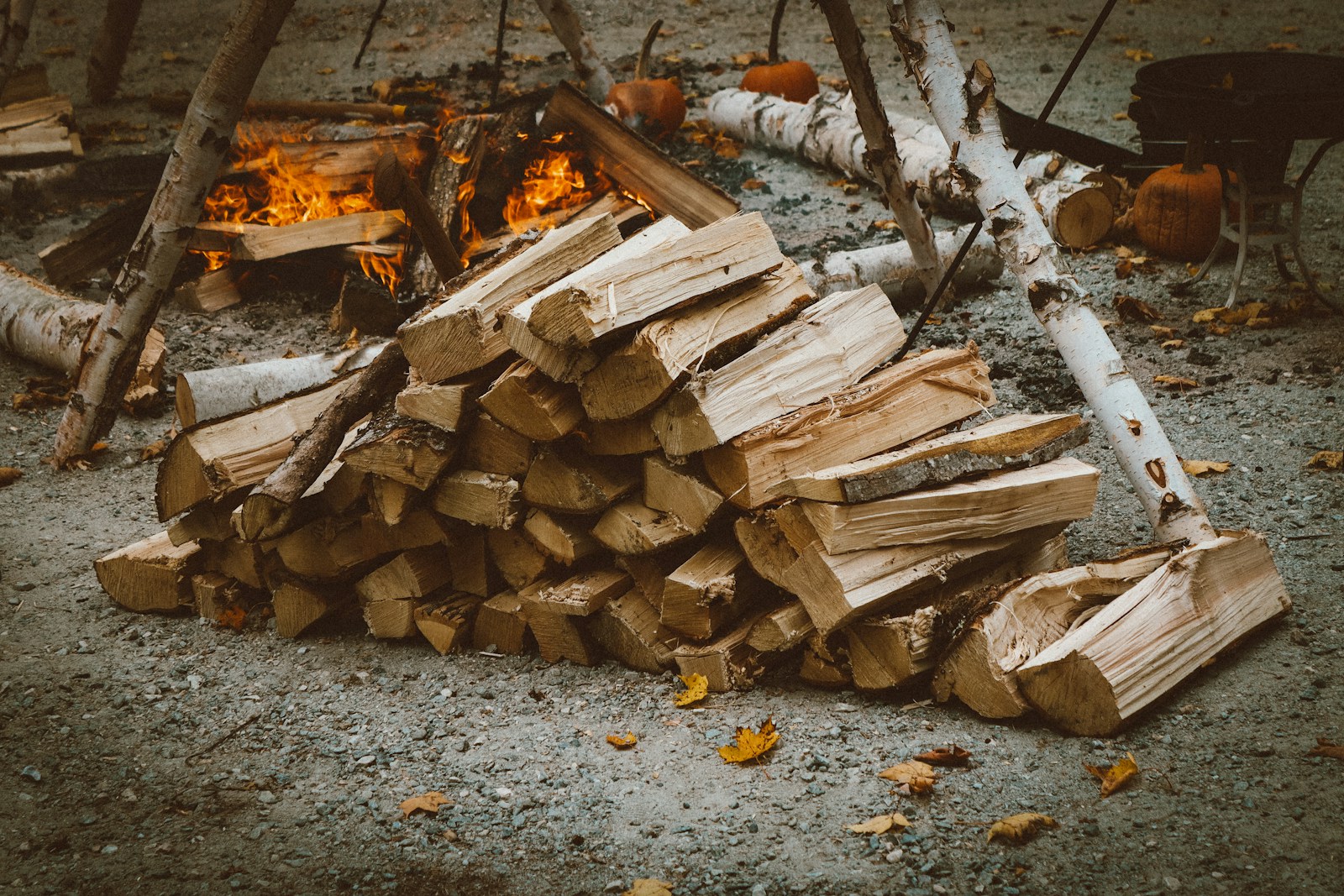 A Pile of Wood Kept Near Campfire