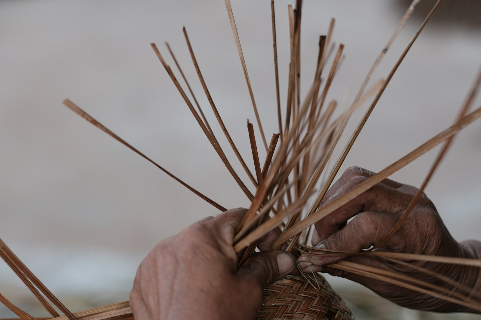 A person holding a bunch of sticks in their hands
