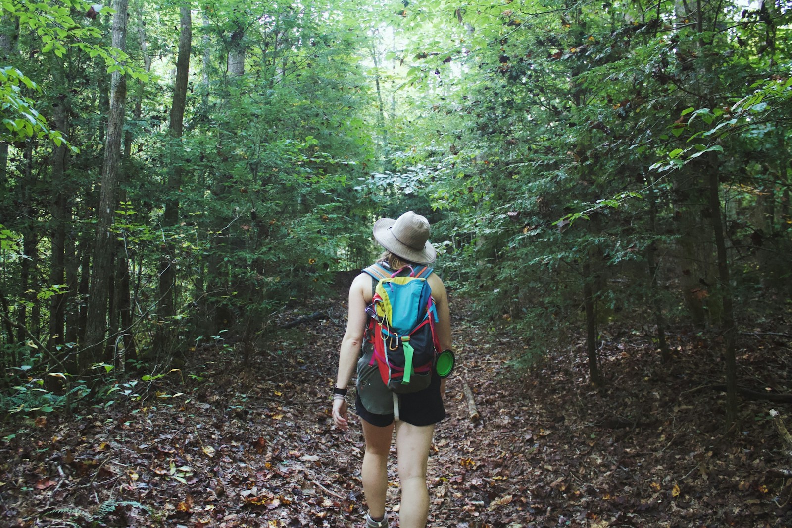 A Wilderness Guide Leading the Way