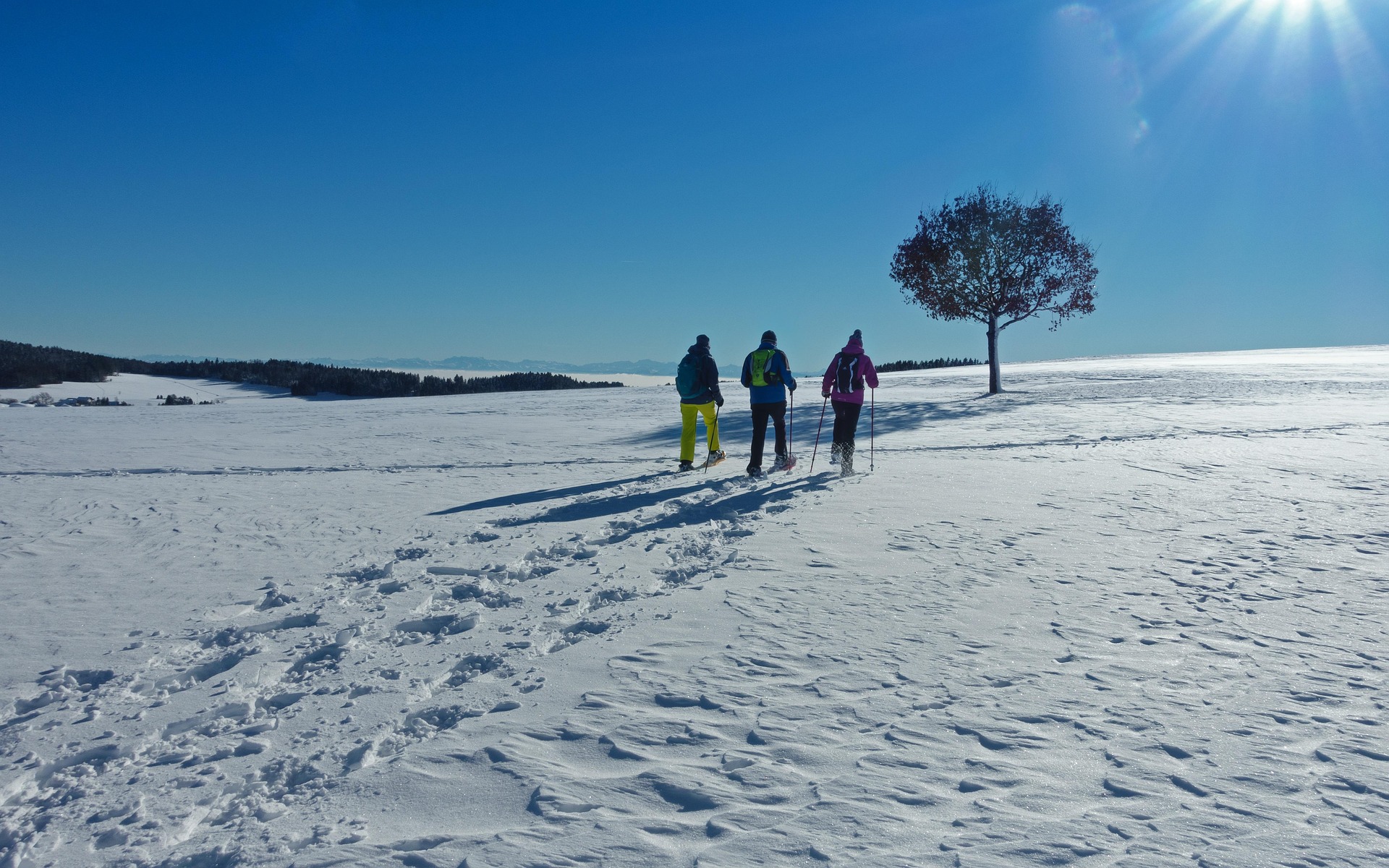taiki-ishikawa-w6EMxsk8CDA-unsplash A Group of Hikers