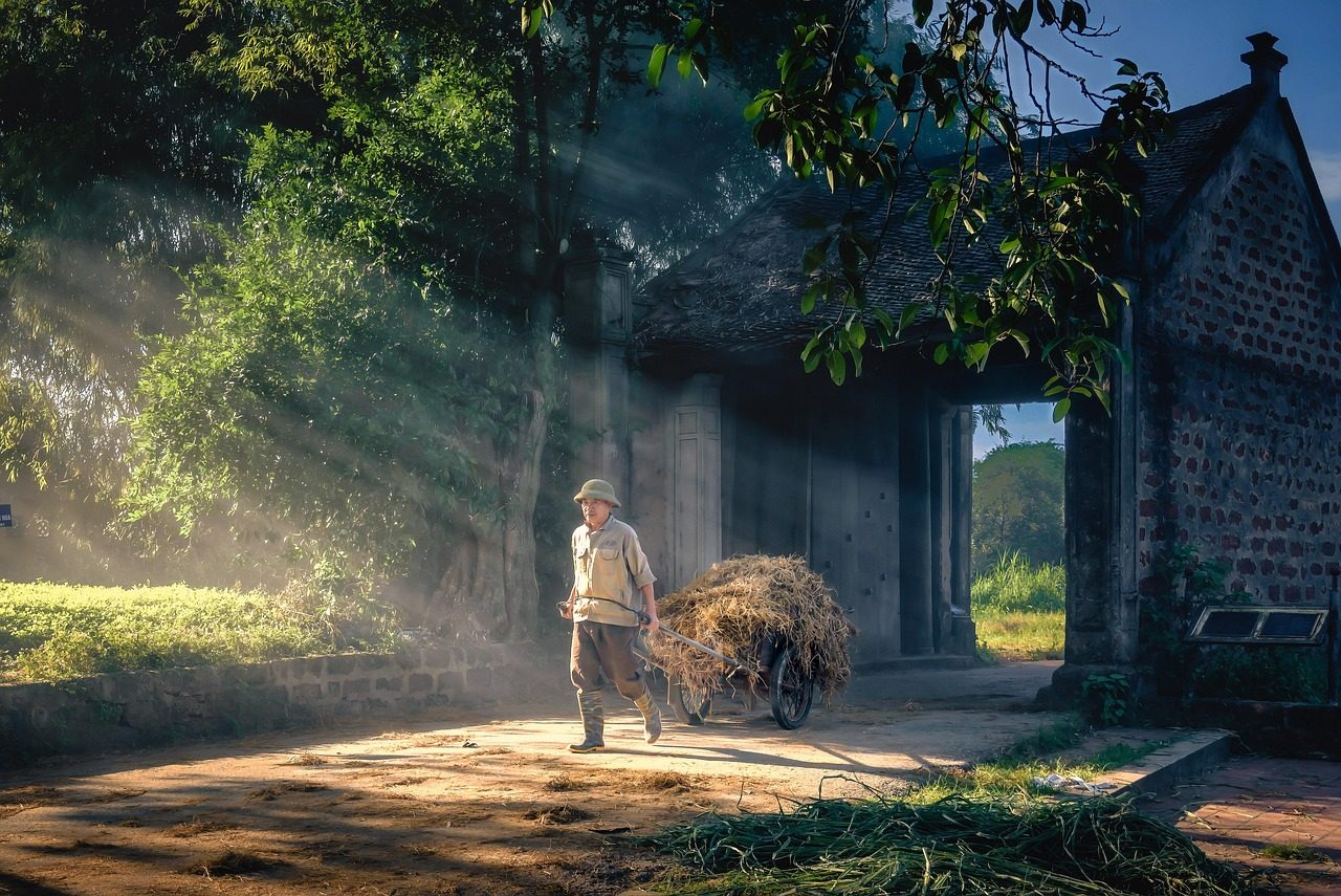 Daily Routine in Wooden Cabin in Mountain
