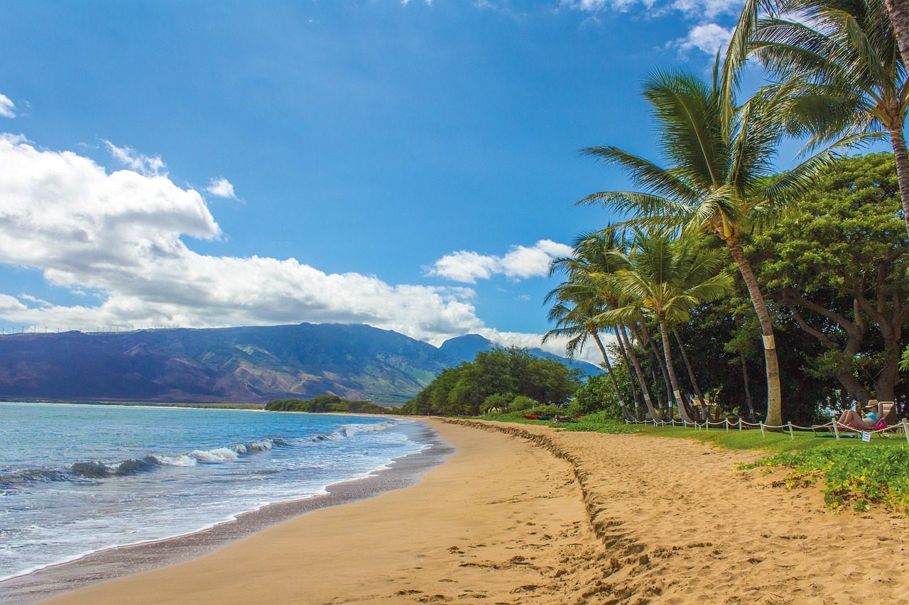 A Beach in Hawaii (Maui)