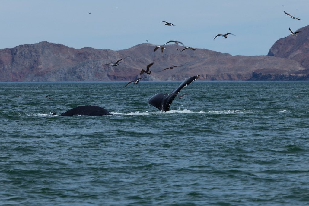 Baja California, Mexico