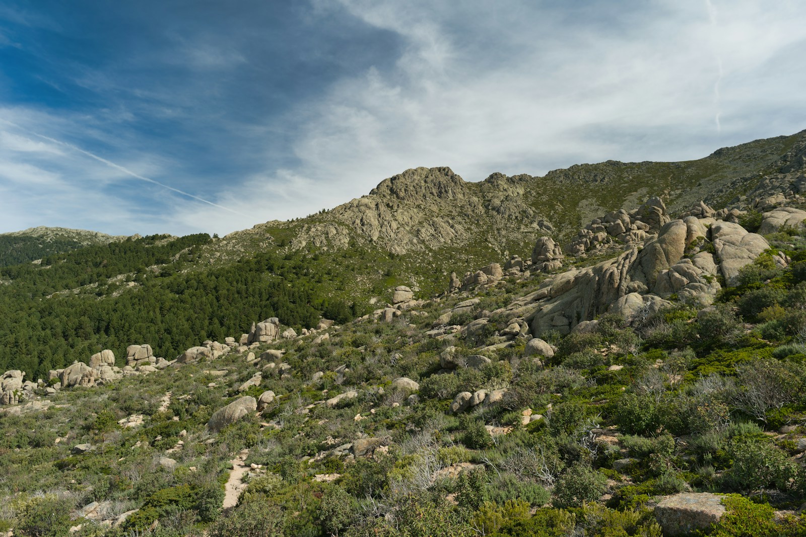 City of Rocks State Park in New Mexico