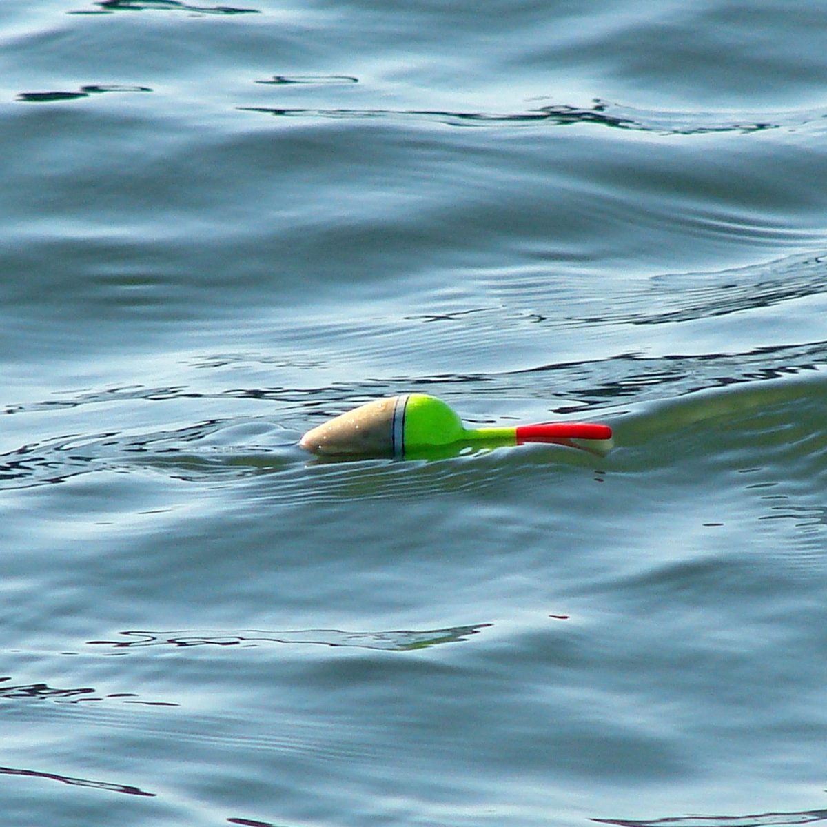 Cajun Thunder Weighted Popping Fishing Floats