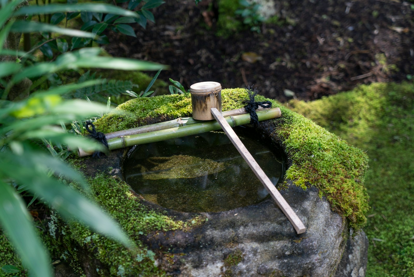 A Water Holder Made Out of Bamboo