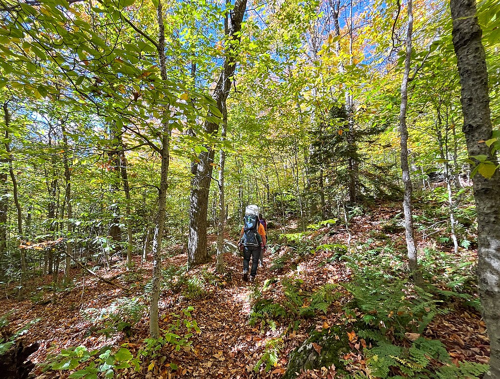 Soil Erosion Due to Hiking
