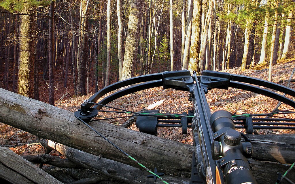 A Crossbow