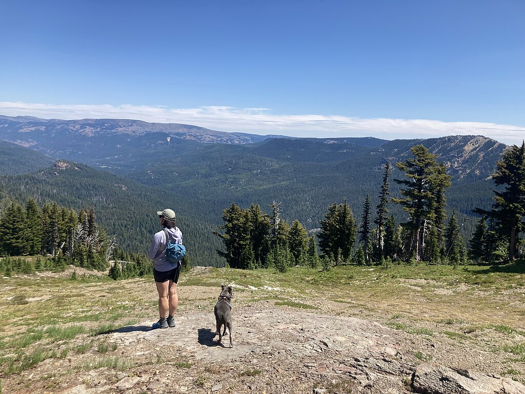A Hiker with his Dog Taking Rest During Downhill Hike