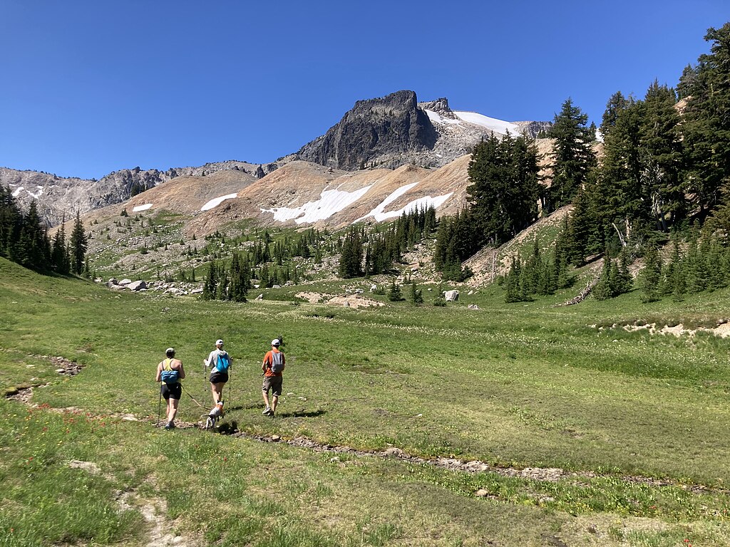 taiki-ishikawa-w6EMxsk8CDA-unsplash A Group of Hiker Off-trailing