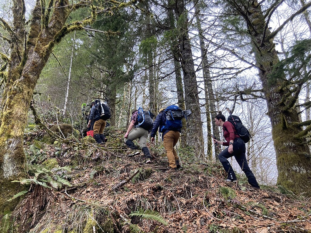 Hikers in Tillamook State Forest