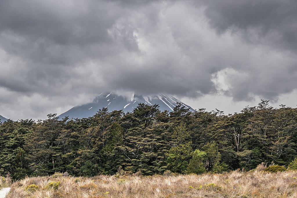 taiki-ishikawa-w6EMxsk8CDA-unsplash