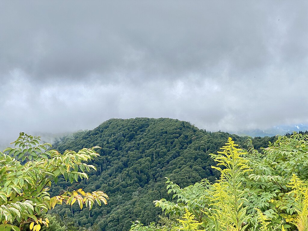 Great Smoky Mountains National Park