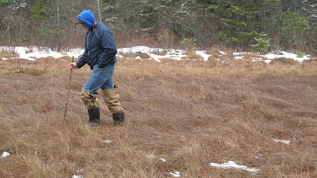 Person Moving Slowly after an Injury