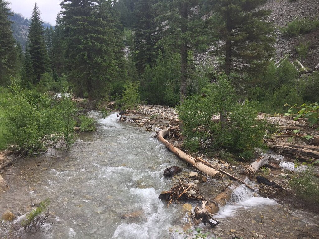 Trail Through Drainage