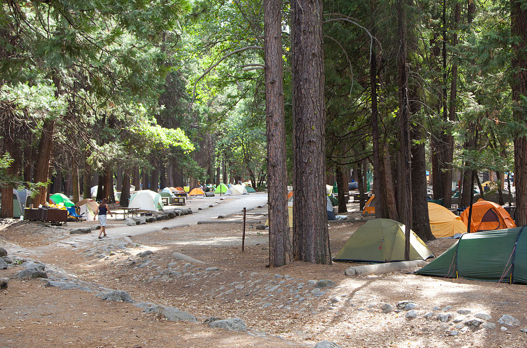 Soil Erosion due to Overusing a Campsite