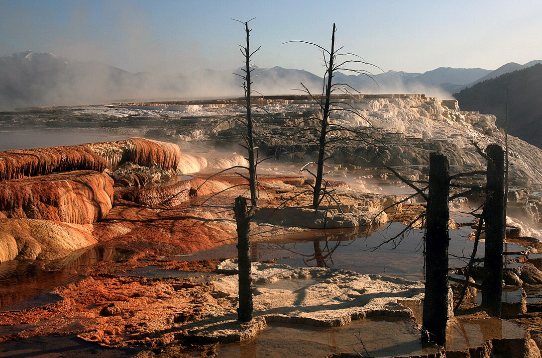 Mammoth Hot Springs, California