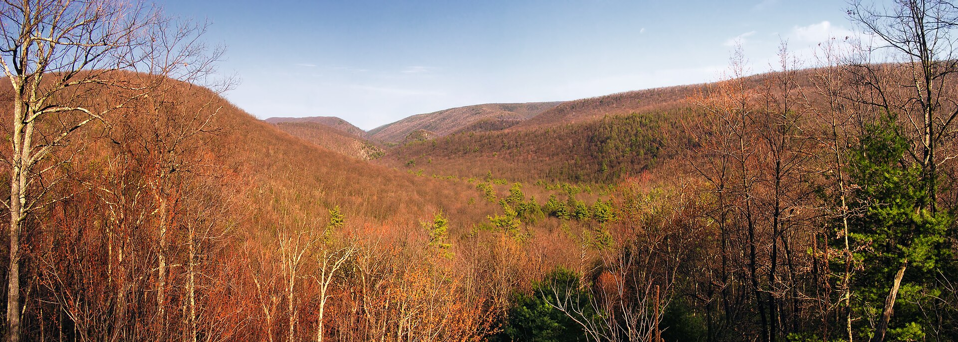 Bald Eagle State Forest, Pennsylvania