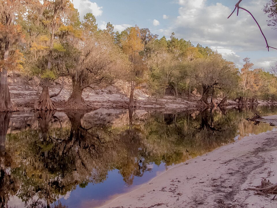 Suwannee River