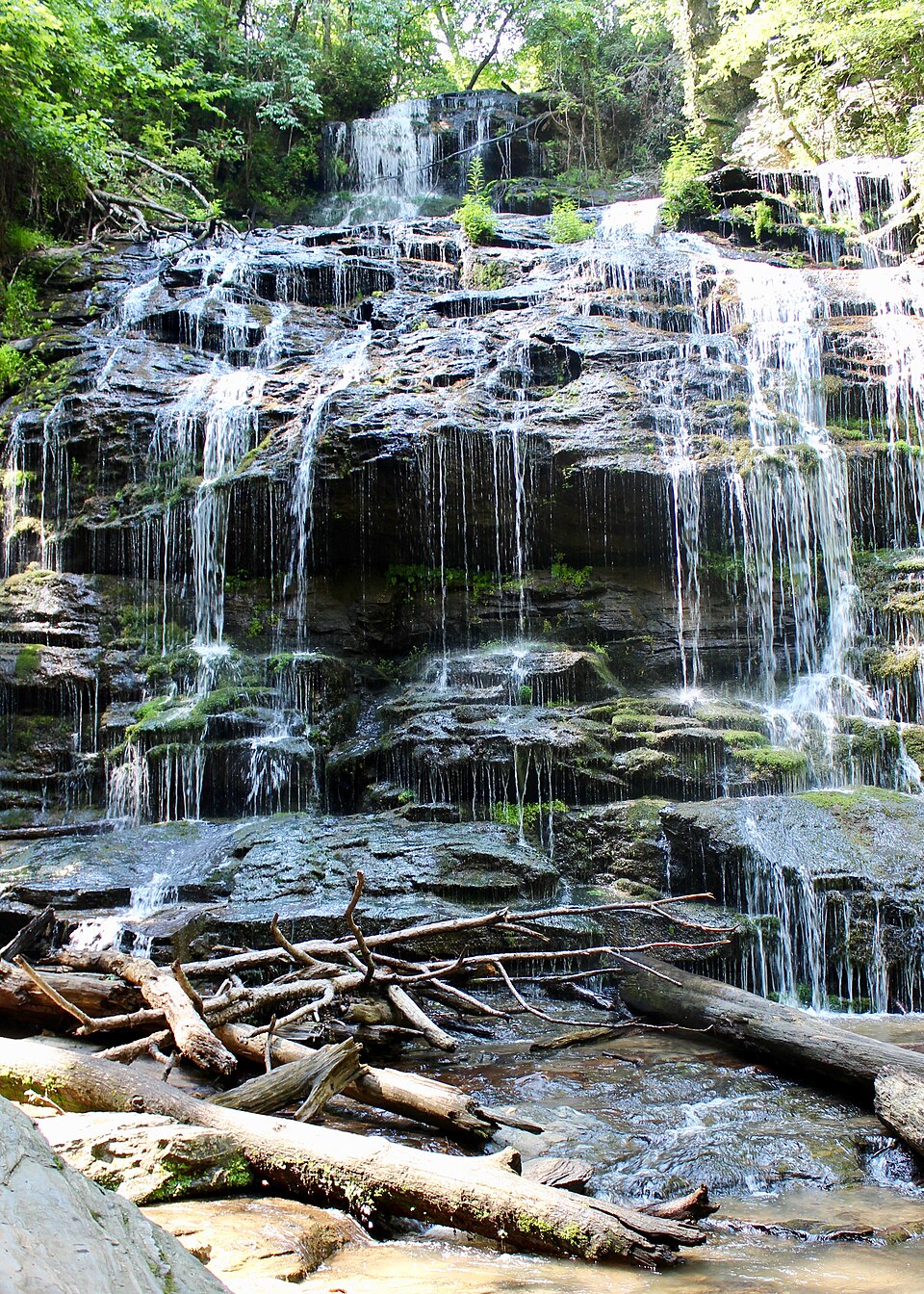 Station Cove Falls, South Carolina