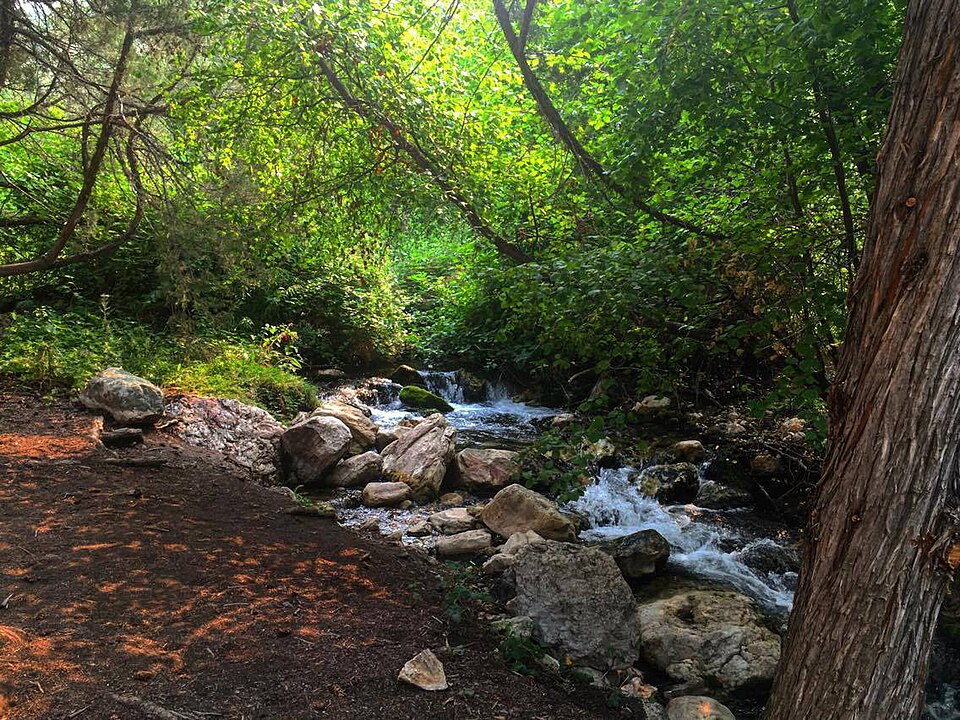 Goldbug Hot Springs, Idaho