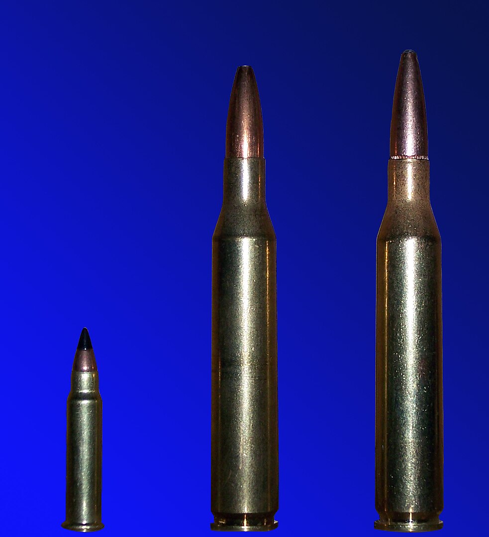 from left, 17HMR, and 120gr. 25-06 from Winchester and Remington