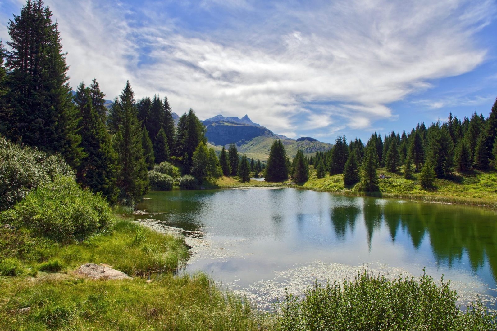 Northern Lake Country