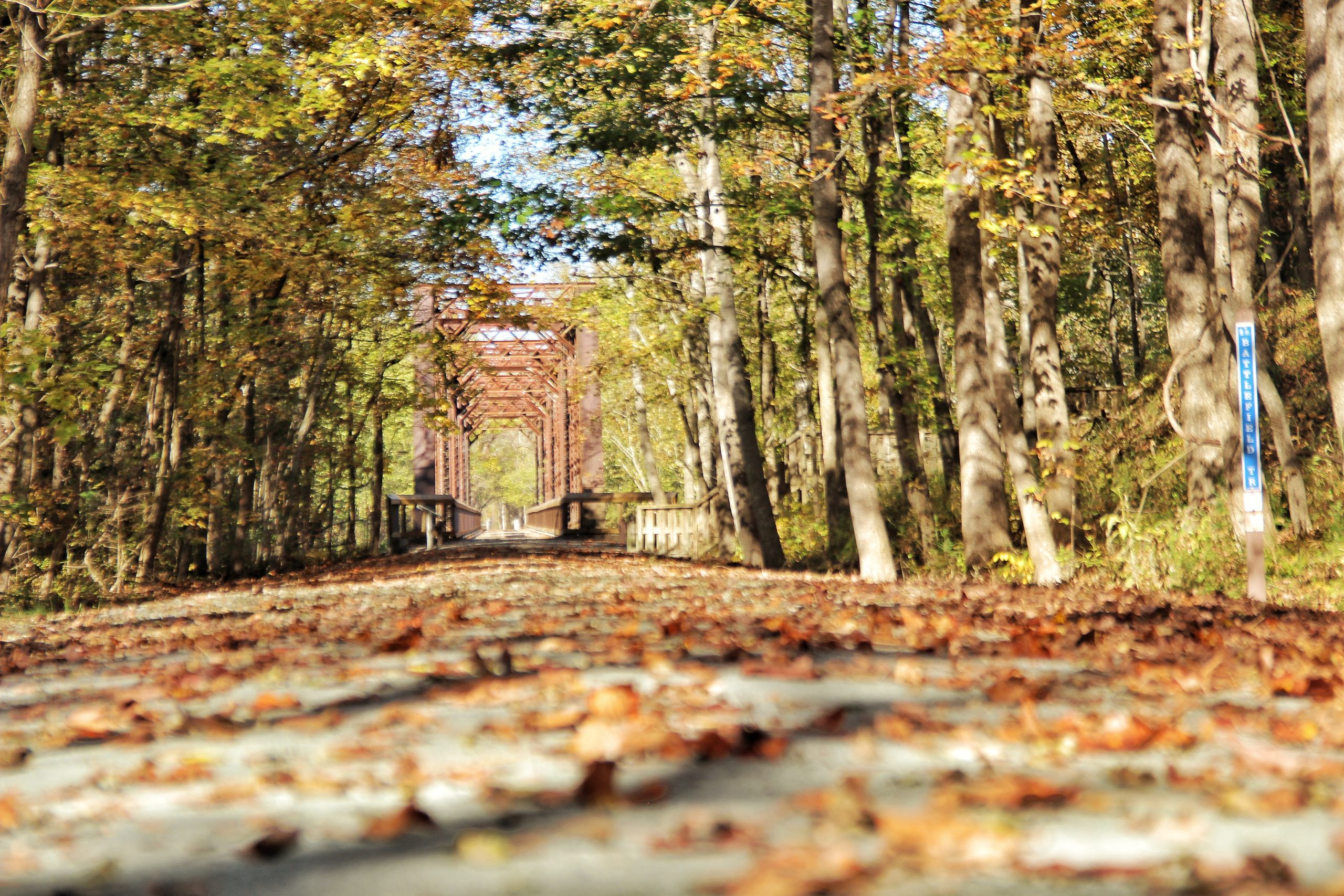 Leaf and Debris on Trail