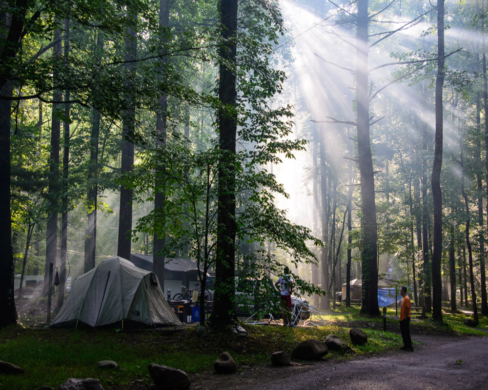 taiki-ishikawa-w6EMxsk8CDA-unsplash Camping Between Tree