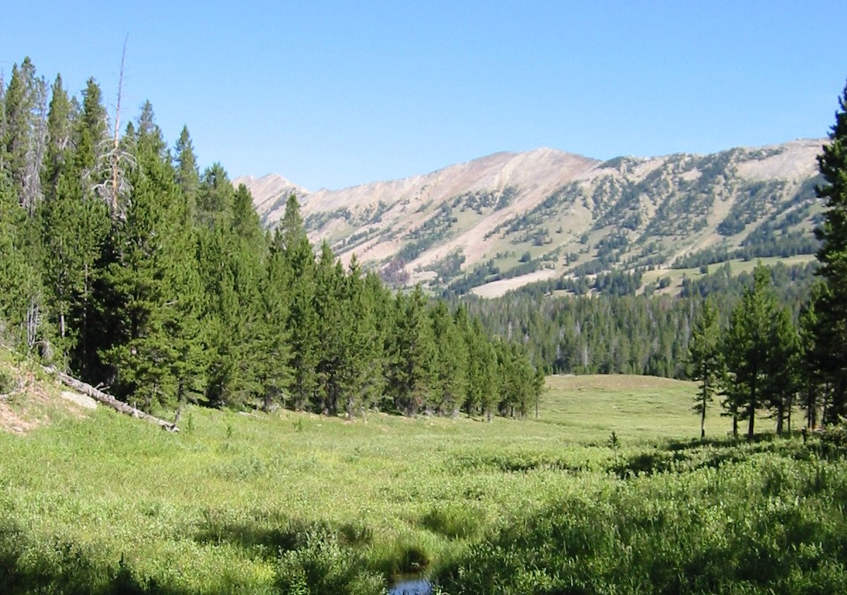 Madison Range Slopes outside Ennis