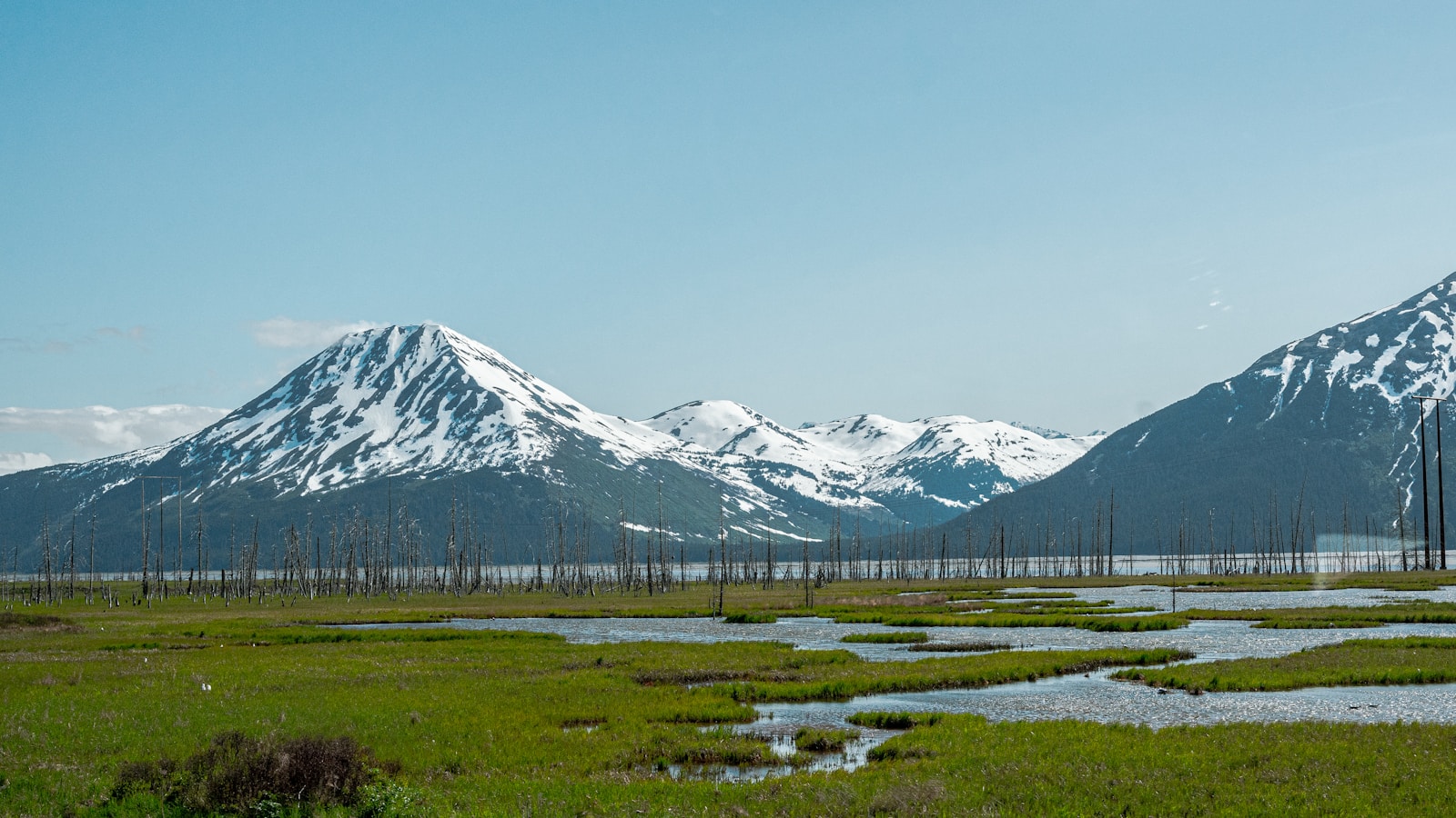 Alaska Coastal Tundra