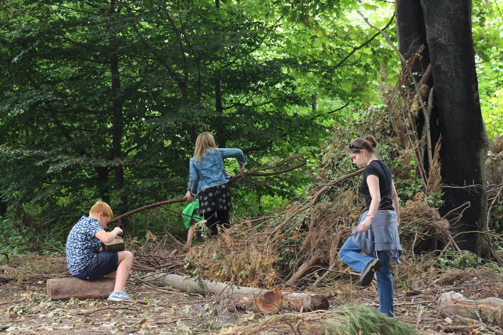 taiki-ishikawa-w6EMxsk8CDA-unsplash Bushcraft Shelter