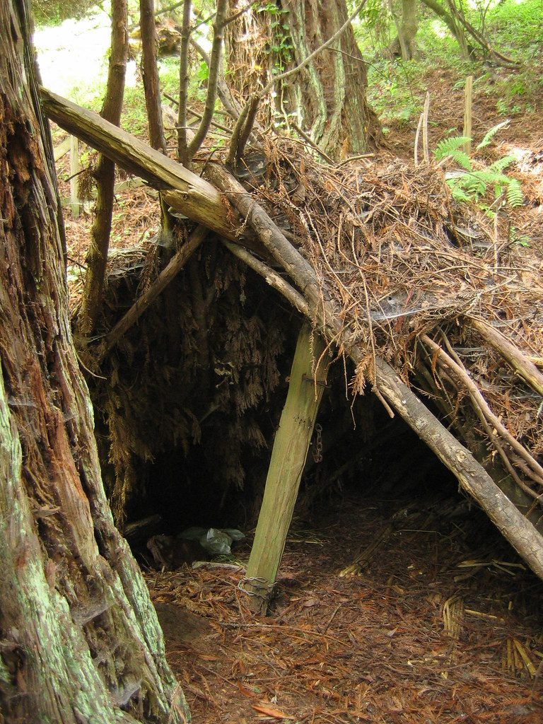 A-Frame Shelter
