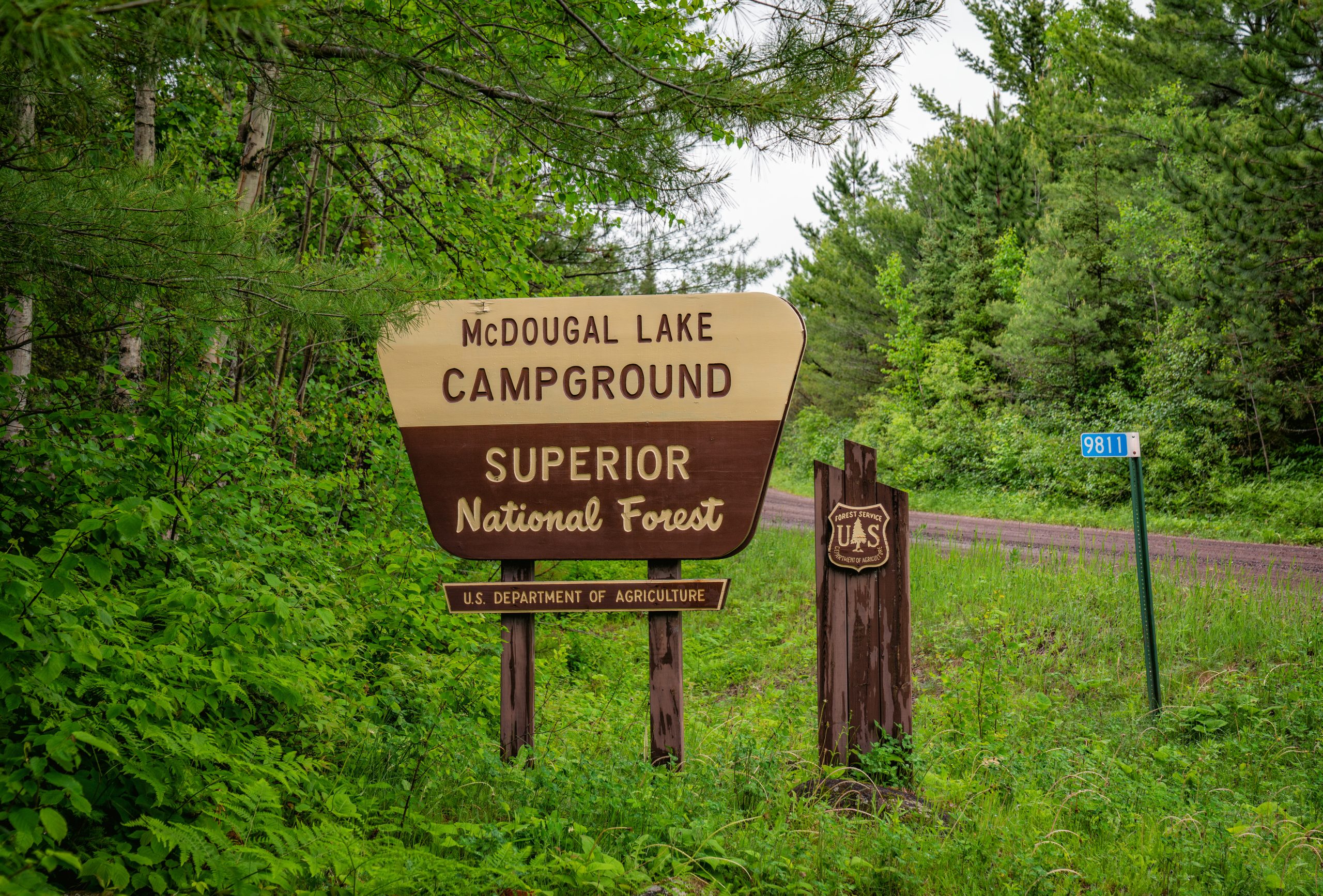 Superior National Forest