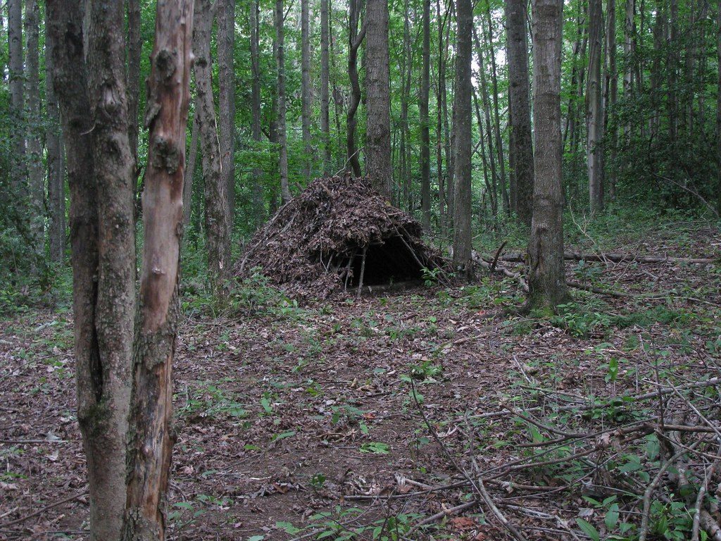 Debris Hut