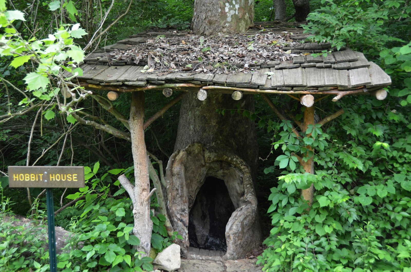 a tree house in the middle of a forest